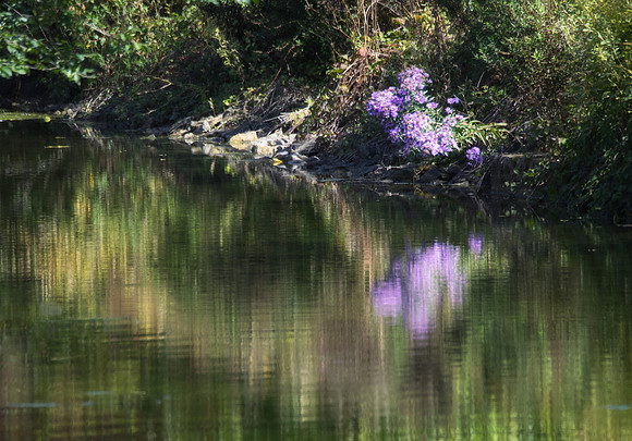 P9260026-Edit-Edit