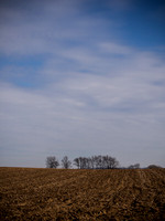 _1190044