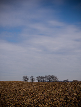 _1190044