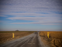 lines