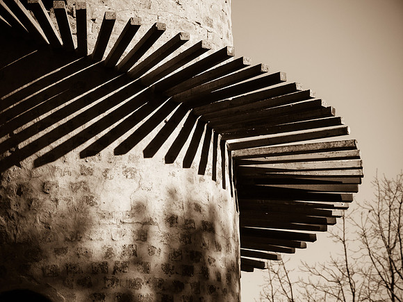 P7314281-Edit
