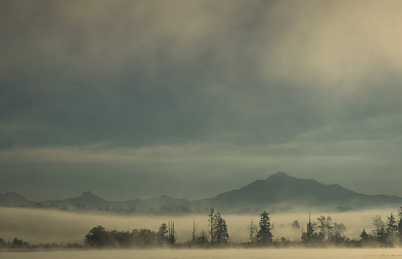 _9140223-Edit